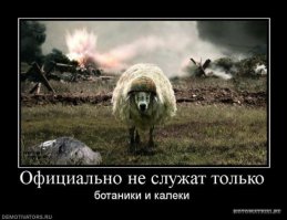 Необычные головные уборы для гурманов