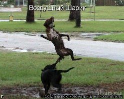 Удачный кадр