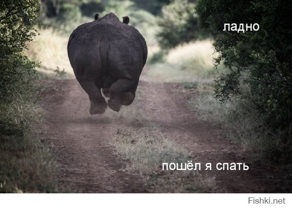 30 лучших снимков National Geographic за год