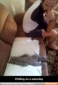 Животные после праздников