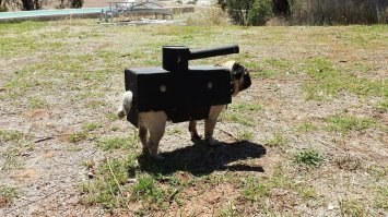 Супер-подарок для сына  