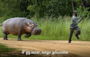 Доминируй, властвуй, унижай!