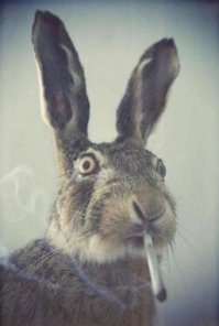 Фотоподборка за 08.04.2015