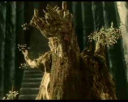 Девушка изготовила для себя костюм Грута