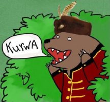 15 польских мудростей 