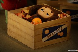 Чего только в этих апельсинах не заводится .