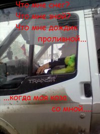 21 вдохновляющая цитата козочек 