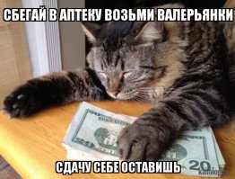 20 очень богатых и опасных котиков (20 фото)