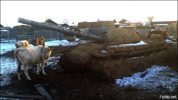 почему нет танка из говна???? это первое место