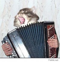 17 СМС от любящих отцов