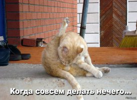 40 самых нелепых рекордов Гиннесса