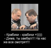 А мы тут на Димона наезжаем 