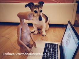 Фотоподборка за 16.01.2015