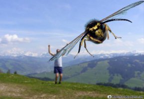 20 лучших снимков