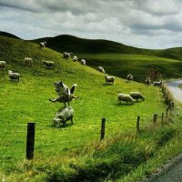 Прикольные гифки. Часть 8