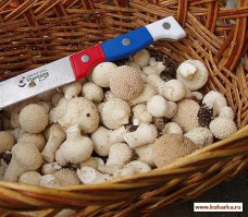 В центре кадра даже пупырышки видны. 
А вот нежаренные.