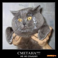 Животные, пойманные на месте преступления 