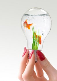 Вторая жизнь лампочки