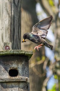 Старое жильё тоже имеет спрос.