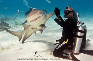 Улыбки, перед которыми невозможно устоять