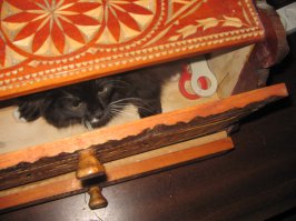 А вот моя котейка) Хлебницу пришлось поменять))