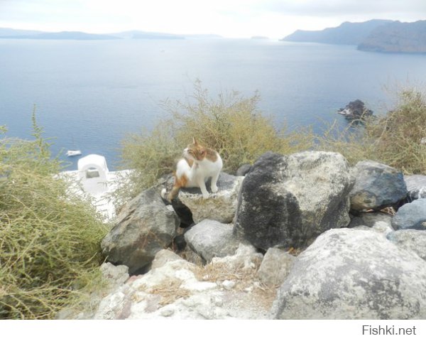 Про Грецию вам расскажу