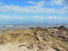 Снимки, которые доказывают, что нет лучшего художника, чем природа