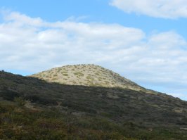 Снимки, которые доказывают, что нет лучшего художника, чем природа