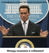 Вы законопослушный гражданин?