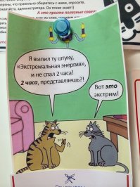 А потом эти кошки живут в Республике кошек ))
catsrepublic_ru