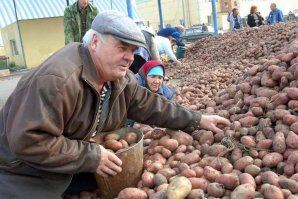 Почему-то Вспомнилась шуточная песня ВС Высоцкого:
Про ученых докторов

Сидитя разлагаетя
Молекулы на атомы
Забыв что разлагается
Картофель на полях