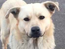 Красивая игра