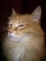 Женщинам всегда мало
Мало денег
Туфель
Внимания
Любви