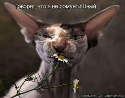 Руководитель 
Постоянно в инете
И на работе и за рулем 
И дома
И в постели
Перерывы во время сна и приема пищи