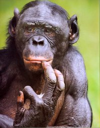 Опытный чертяка