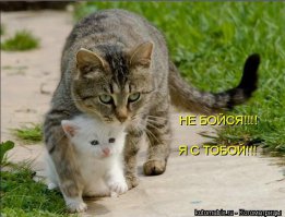 Не ссы прорвемся