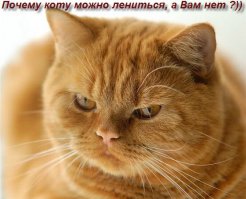 Бла бла бла жизнь коротка 
Бла бла бла жизнь не легка
Бла бла бла жизнь хороша

Можно продолжать долго
Меньше п.и.з.д.е.т.ь. - больше делать .
Работать надо