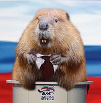 По моему очень милые животные