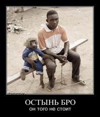 Дешевый понт высокого денежного эквивалента