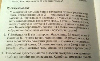 Теперь я знаю, как появился ЧЕБУРАТОР!