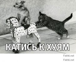  Луганск. Д/ф Александра Рогаткина. Специальный корреспондент 23.01.15