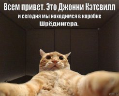 10 причин любить Зиму