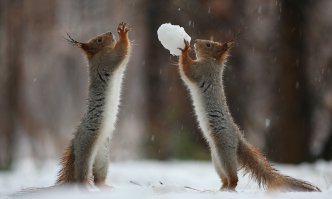 50 сладких парочек