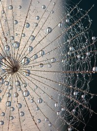 26 удивительных фото