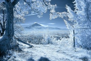 26 удивительных фото