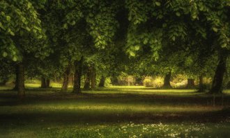 26 удивительных фото