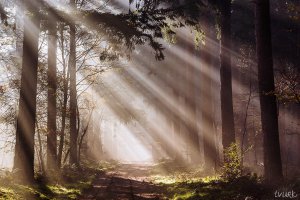 26 удивительных фото