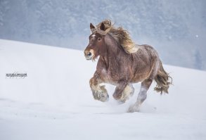 26 удивительных фото