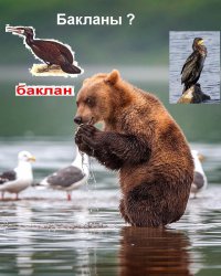 Фотки классные, спору нет, но некоторые подписи глаз режут !