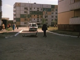 Вспомнился фильм "Белые росы" и эпизод где герои В.Санаева и Б.Новикова выпивали тёщину настойку, предварительно дав попробовать собаке !  :)